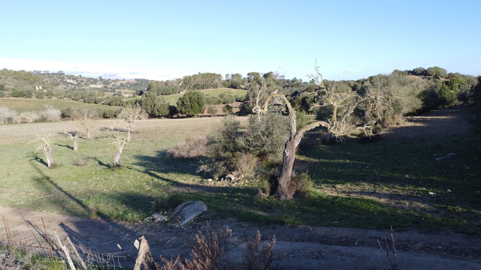 Grond te koop in Sineu - € 318.150 (Ref: 9431664)