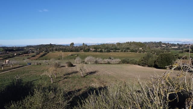 Grond te koop in Sineu - € 318.150 (Ref: 9431664)