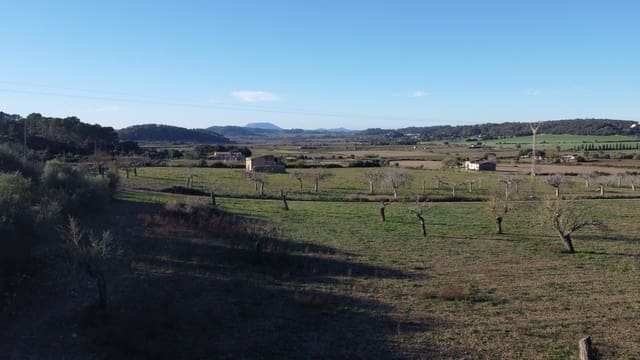 Grond te koop in Sineu - € 318.150 (Ref: 9431664)