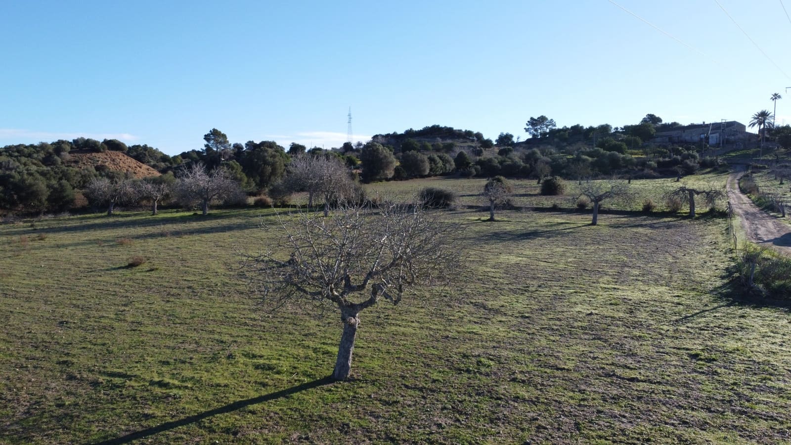 Grond te koop in Sineu - € 318.150 (Ref: 9431664)