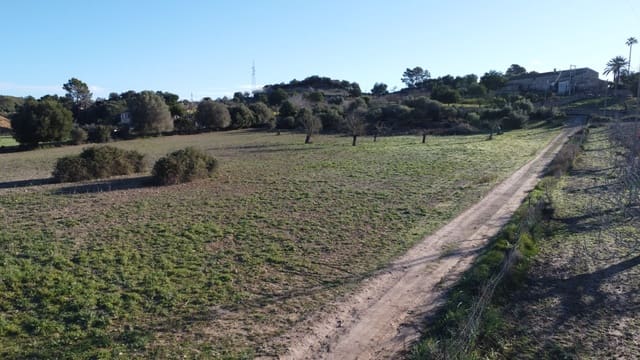 Grond te koop in Sineu - € 318.150 (Ref: 9431664)