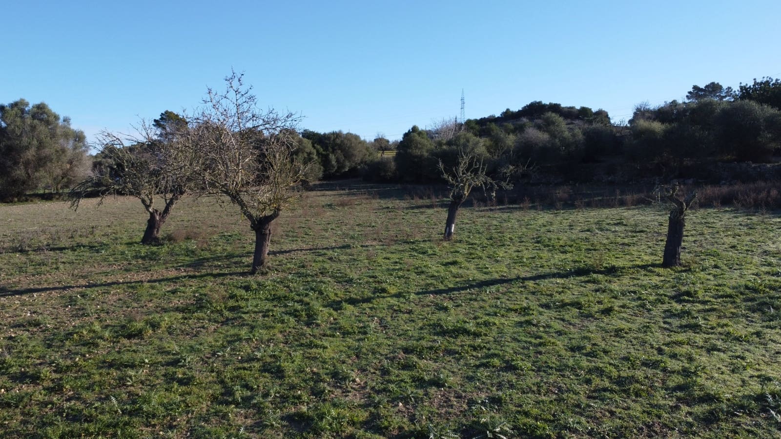 Grond te koop in Sineu - € 318.150 (Ref: 9431664)