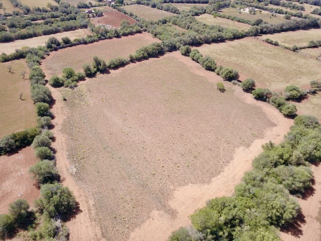 Terreno/Finca Rústica en Felanitx en venta - 349.000 € (Ref: 9431665)