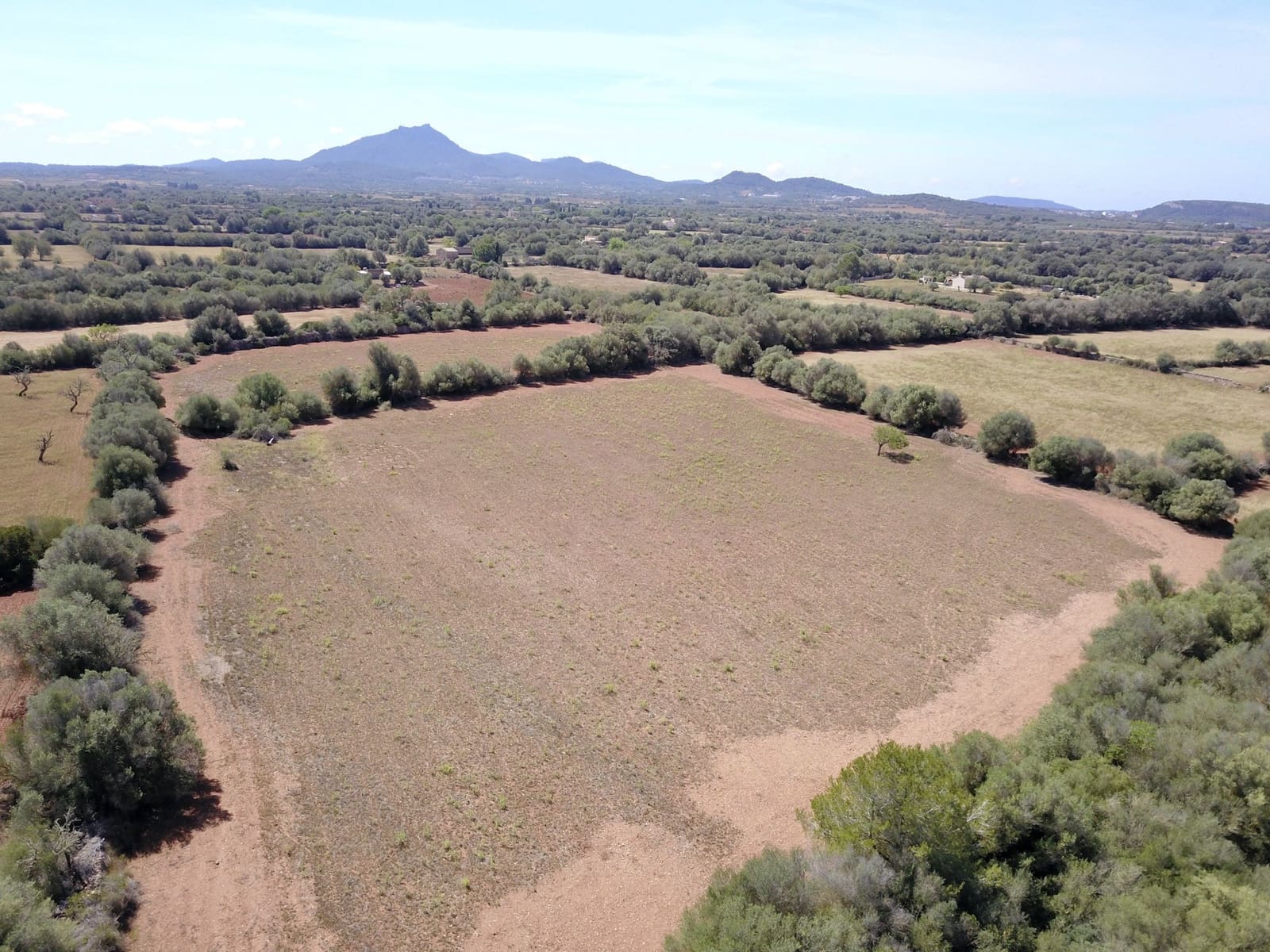 Terreno/Finca Rústica en Felanitx en venta - 349.000 € (Ref: 9431665)