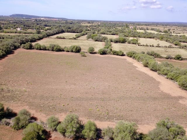 Terreno/Finca Rústica en Felanitx en venta - 349.000 € (Ref: 9431665)