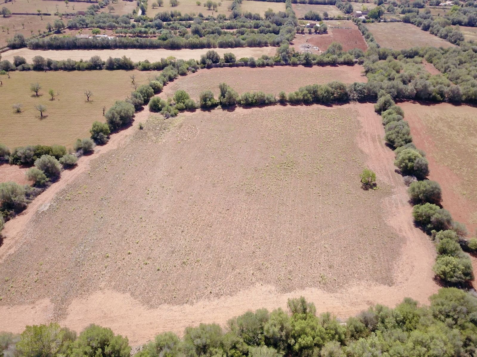 Terreno/Finca Rústica en Felanitx en venta - 349.000 € (Ref: 9431665)