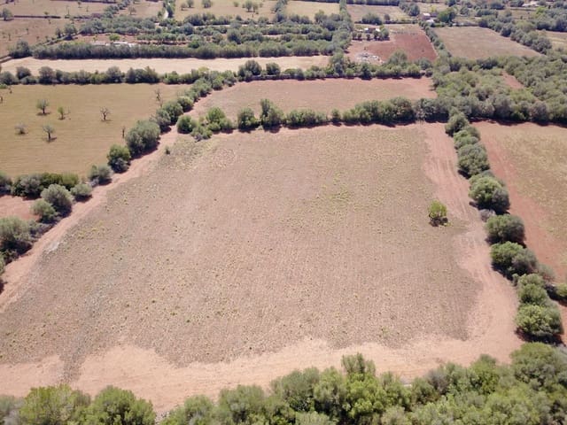 Terreno/Finca Rústica en Felanitx en venta - 349.000 € (Ref: 9431665)
