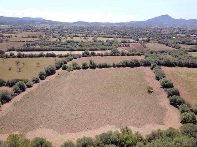 Terreno/Finca Rústica en Felanitx en venta - 349.000 € (Ref: 9431665)