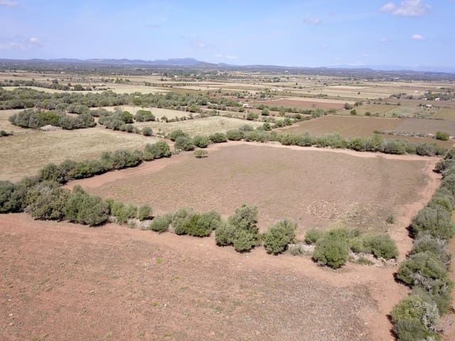 Terreno/Finca Rústica en Felanitx en venta - 349.000 € (Ref: 9431665)