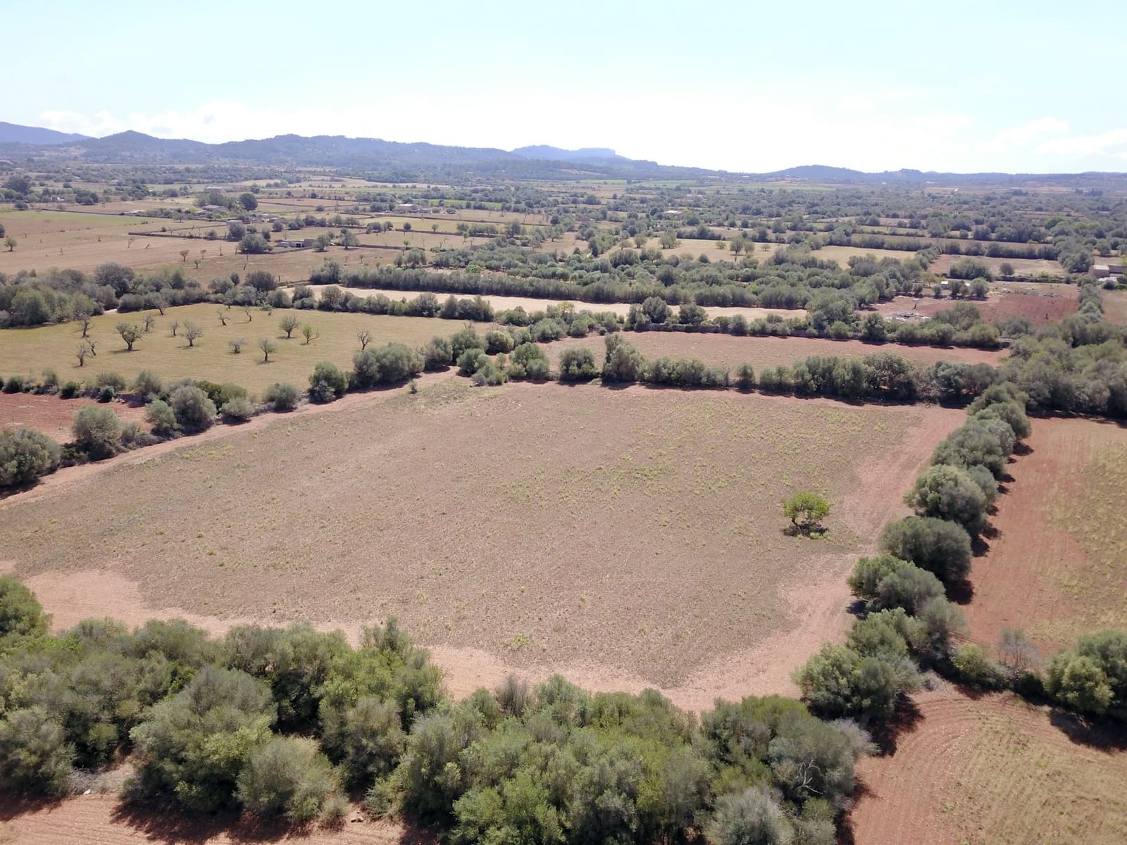 Terreno/Finca Rústica en Felanitx en venta - 349.000 € (Ref: 9431665)