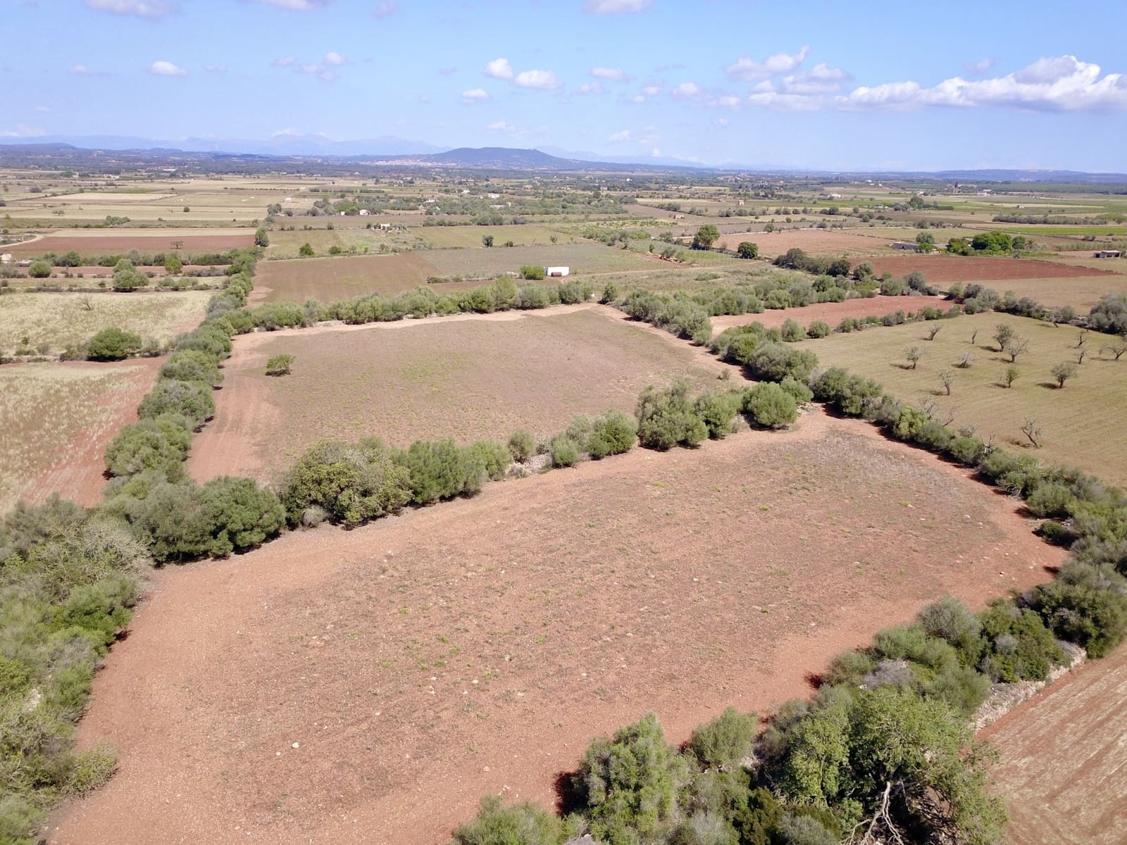 Terreno/Finca Rústica en Felanitx en venta - 349.000 € (Ref: 9431665)