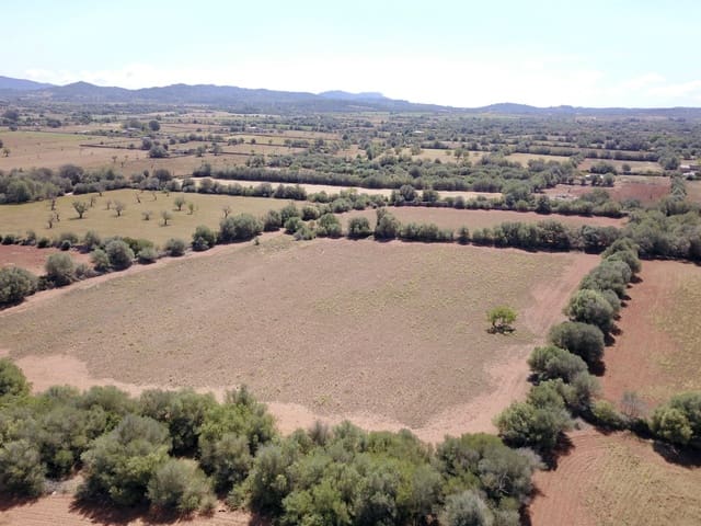 Terreno/Finca Rústica en Felanitx en venta - 349.000 € (Ref: 9431665)