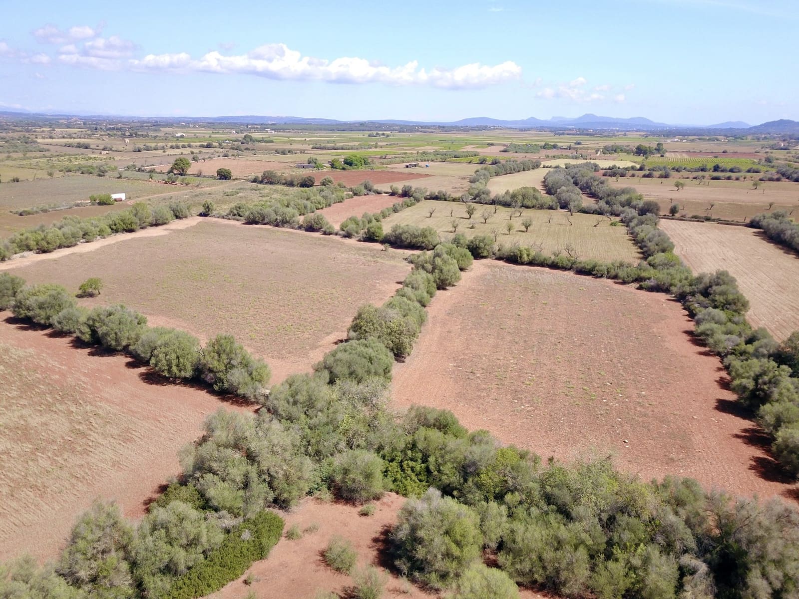 Terreno/Finca Rústica en Felanitx en venta - 349.000 € (Ref: 9431665)