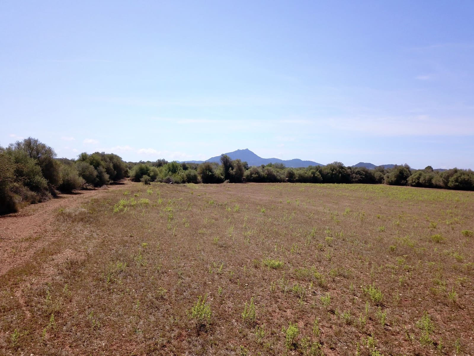 Terreno/Finca Rústica en Felanitx en venta - 349.000 € (Ref: 9431665)