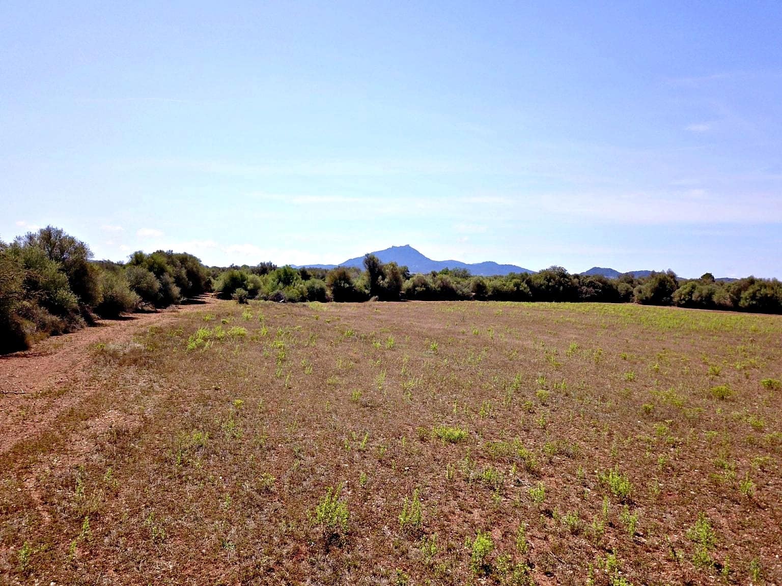 Building Plot for sale in Felanitx - € 385,000 (Ref: 9431665)