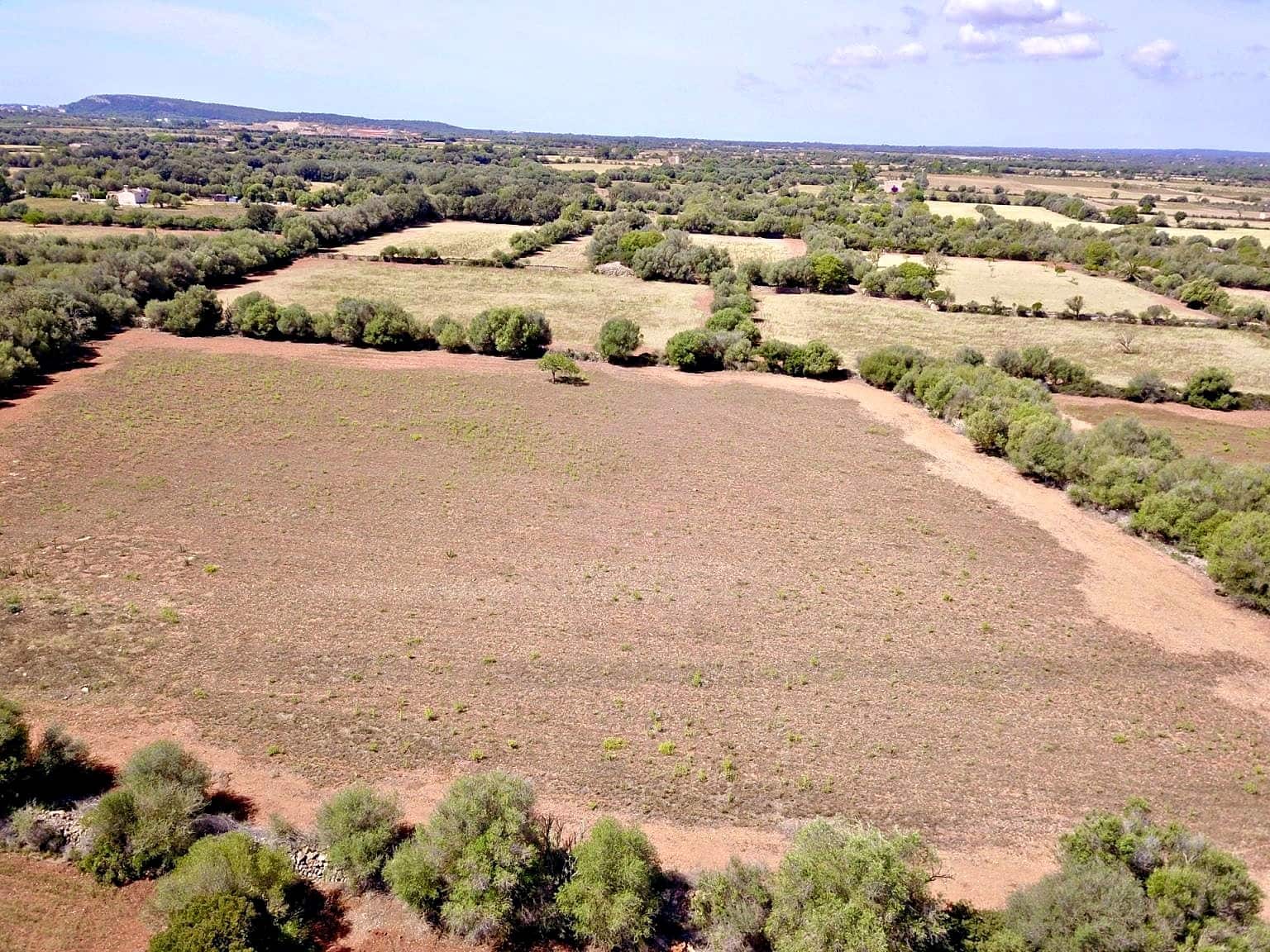 Building Plot for sale in Felanitx - € 385,000 (Ref: 9431665)