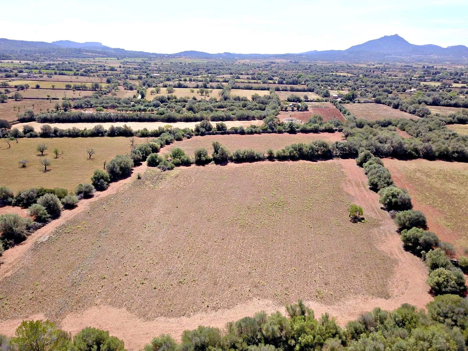 Building Plot for sale in Felanitx - € 385,000 (Ref: 9431665)