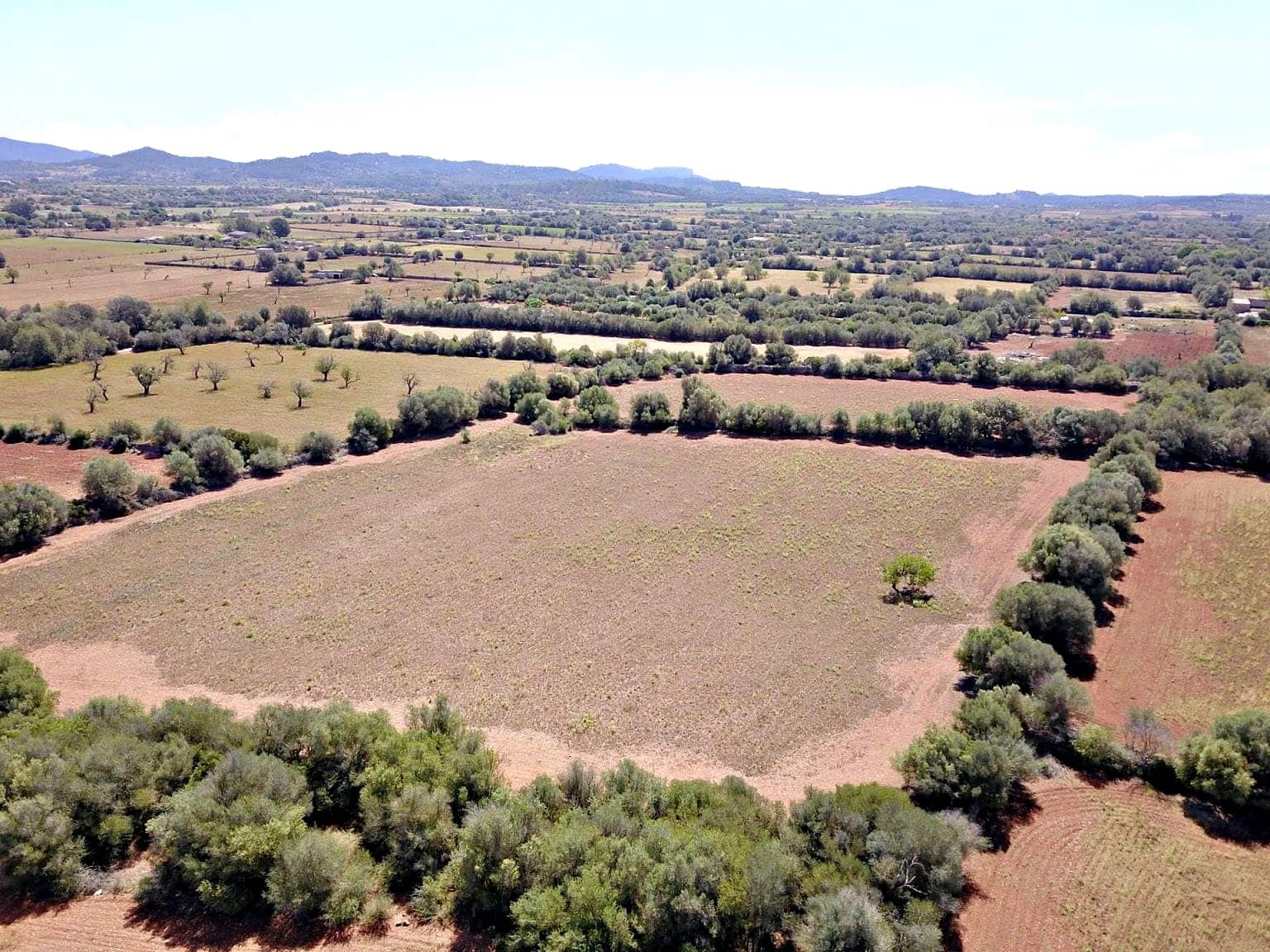 Building Plot for sale in Felanitx - € 385,000 (Ref: 9431665)