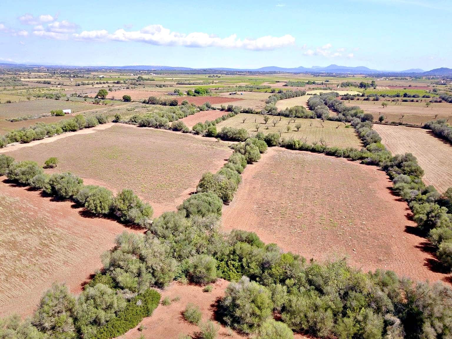 Building Plot for sale in Felanitx - € 385,000 (Ref: 9431665)