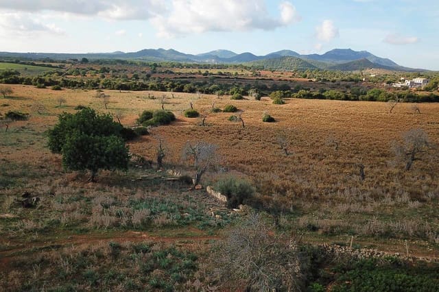 1 quarto Quinta/Casa Rural para venda em Cala Murada, Manacor - 1 295 000 € (Ref: 9431666)