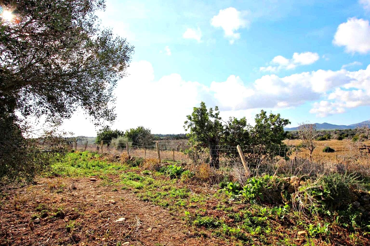 1 bedroom Finca/Country House for sale in Cala Murada - € 1,295,000 (Ref: 9431666)