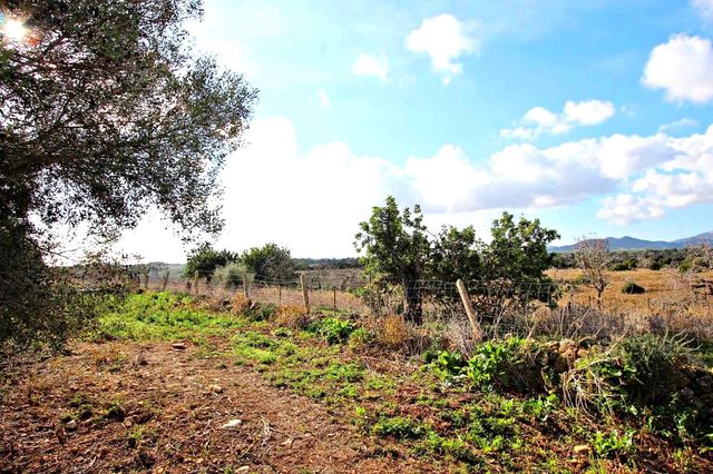 1 camera da letto Finca/Casa di Campagna in vendita in Cala Murada, Manacor - 1.295.000 € (Rif: 9431666)