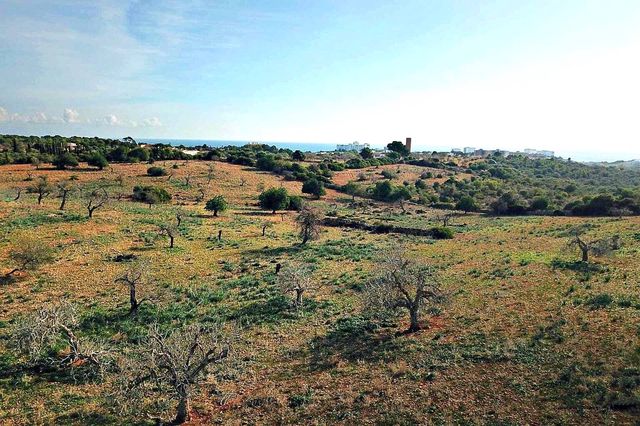 1 camera da letto Finca/Casa di Campagna in vendita in Cala Murada, Manacor - 1.295.000 € (Rif: 9431666)