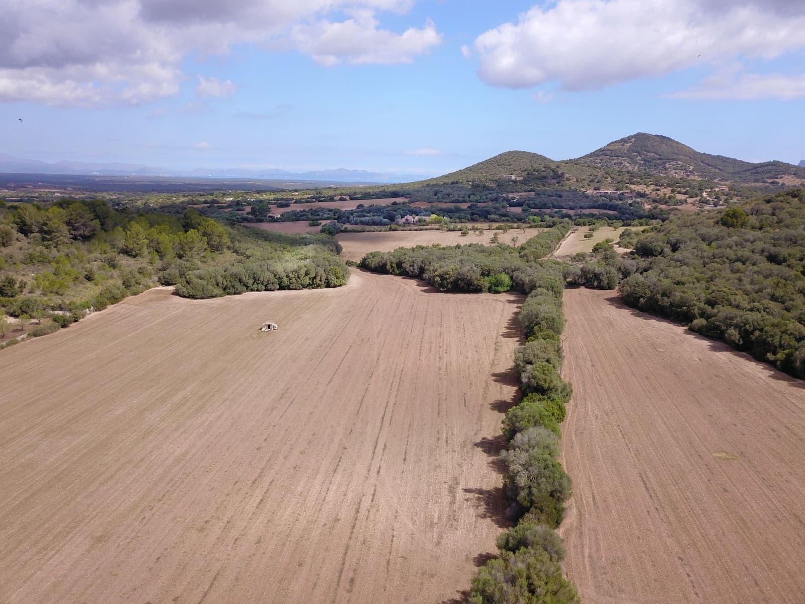 Finca/Country House for sale in Manacor - € 5,000,000 (Ref: 9431668)