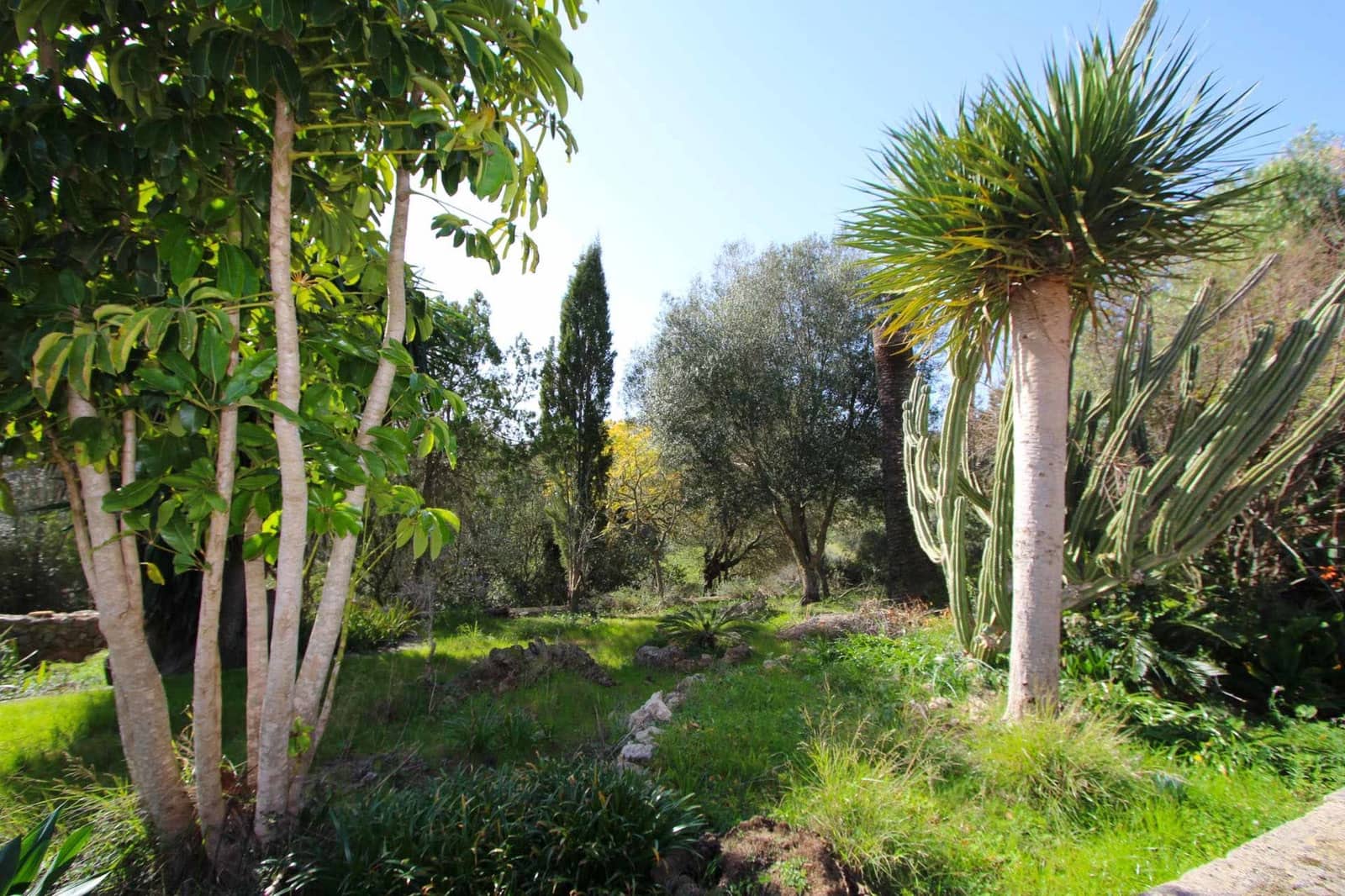 2 bedroom Finca/Country House for sale in Sa Coma - € 2,800,000 (Ref: 9431671)