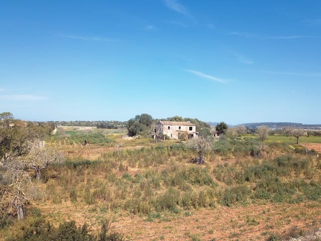 Grond te koop in Vilafranca de Bonany - € 210.000 (Ref: 9481489)