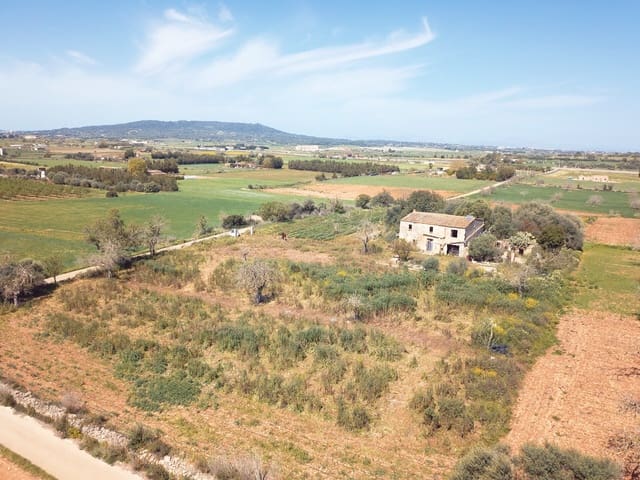 Grond te koop in Vilafranca de Bonany - € 210.000 (Ref: 9481489)