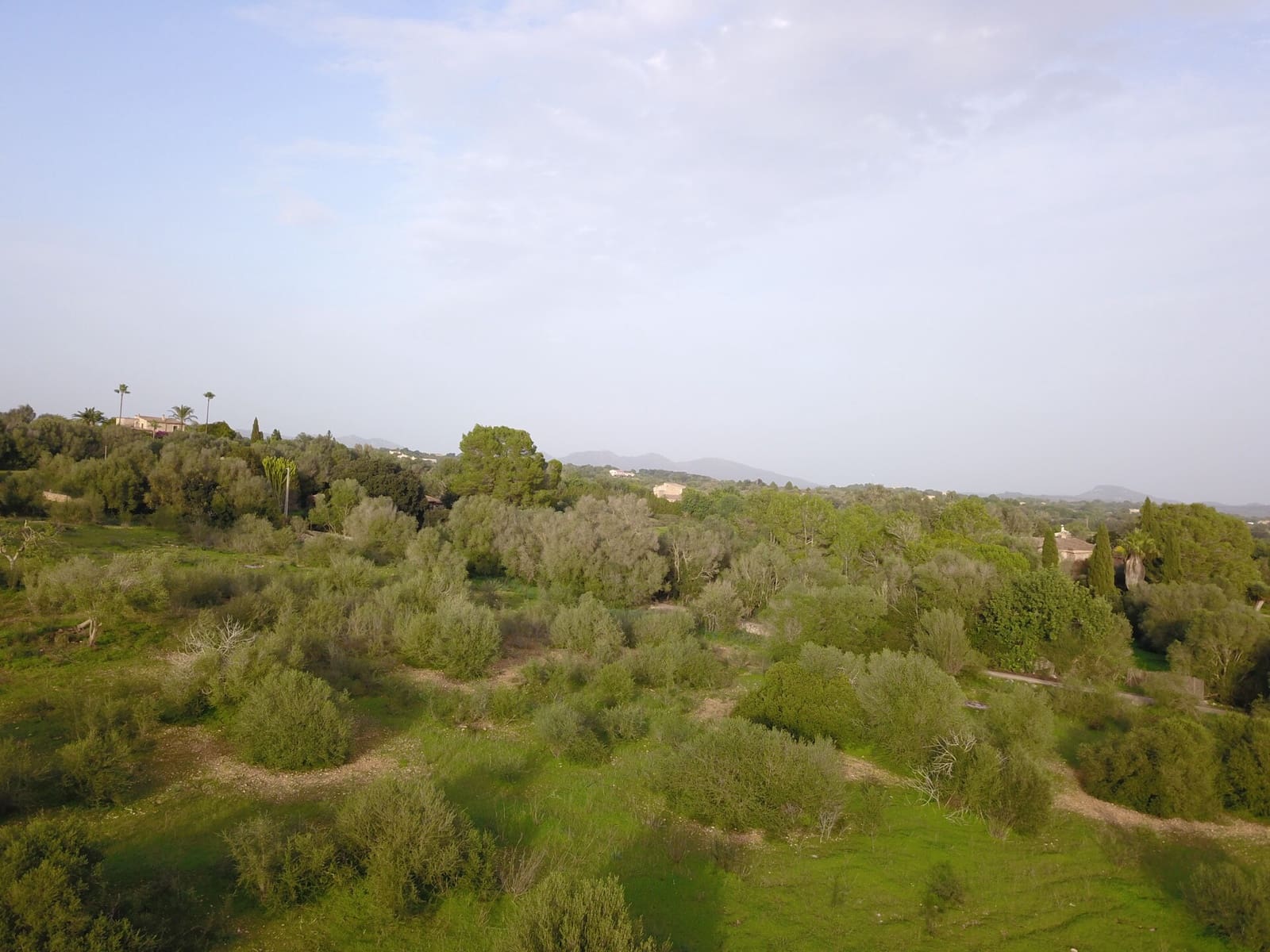 Undeveloped Land for sale in Sant Llorenc des Cardassar - € 395,000 (Ref: 9493880)