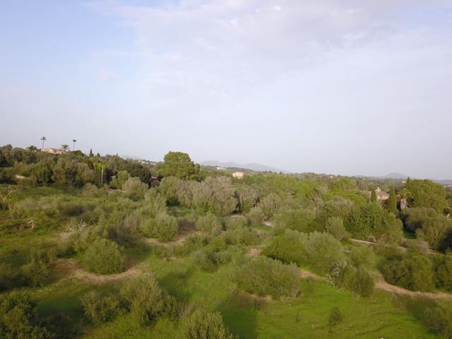 Terreno/Finca Rústica en Sant Llorenç des Cardassar en venta - 395.000 € (Ref: 9493880)