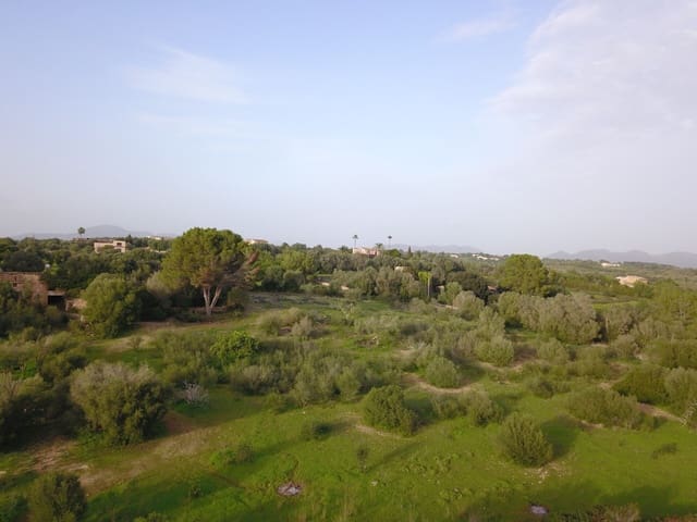 Terreno/Finca Rústica en Sant Llorenç des Cardassar en venta - 395.000 € (Ref: 9493880)