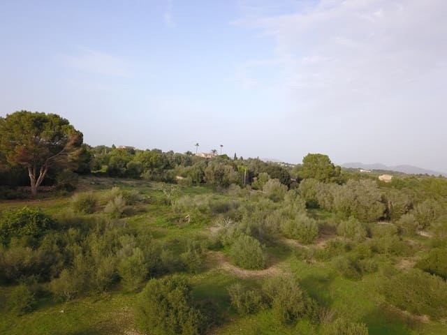 Terreno/Finca Rústica en Sant Llorenç des Cardassar en venta - 395.000 € (Ref: 9493880)