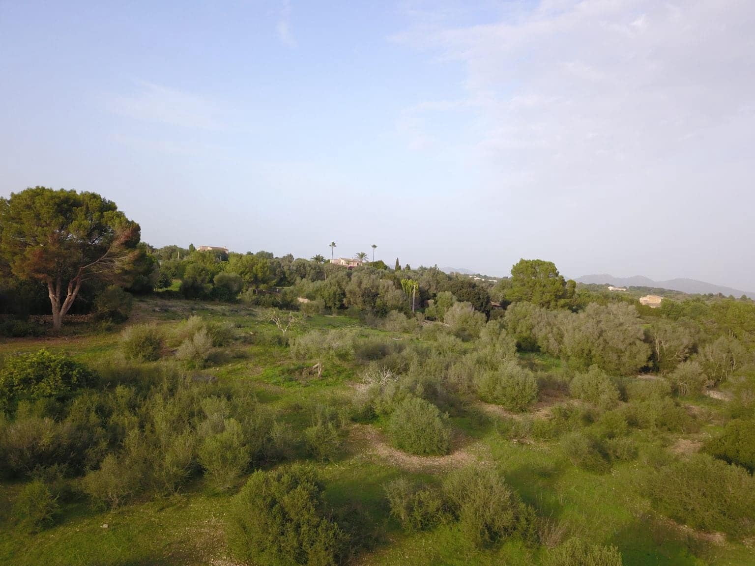 Tomt till salu i Sant Llorenc des Cardassar - 395 000 € (Ref: 9493880)