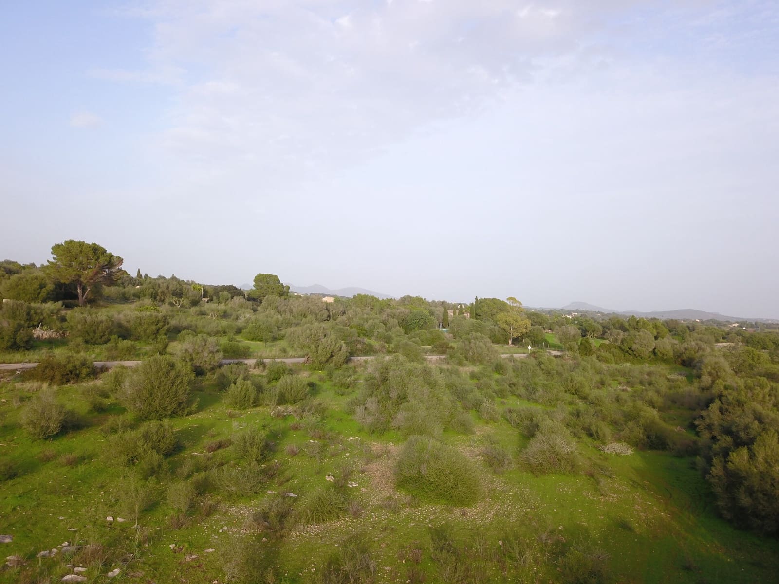 Grond te koop in Sant Llorenc des Cardassar - € 250.000 (Ref: 9516378)