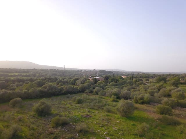 Grond te koop in Sant Llorenç des Cardassar - € 250.000 (Ref: 9516378)