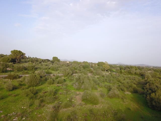 Grond te koop in Sant Llorenç des Cardassar - € 250.000 (Ref: 9516378)