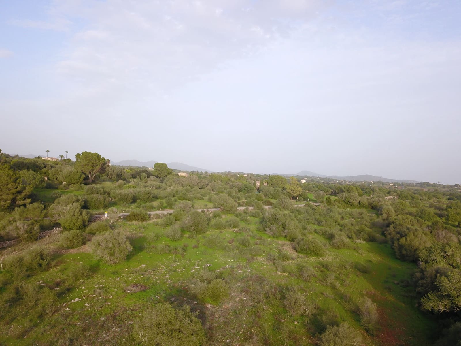 Grond te koop in Sant Llorenc des Cardassar - € 250.000 (Ref: 9516378)