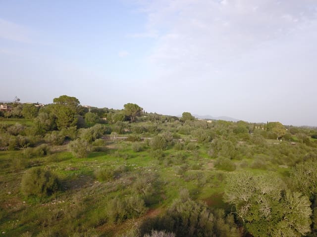 Grond te koop in Sant Llorenç des Cardassar - € 250.000 (Ref: 9516378)