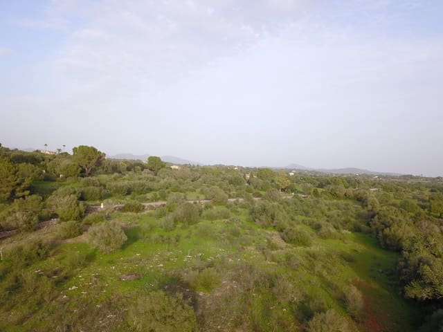 Grond te koop in Sant Llorenç des Cardassar - € 250.000 (Ref: 9516378)