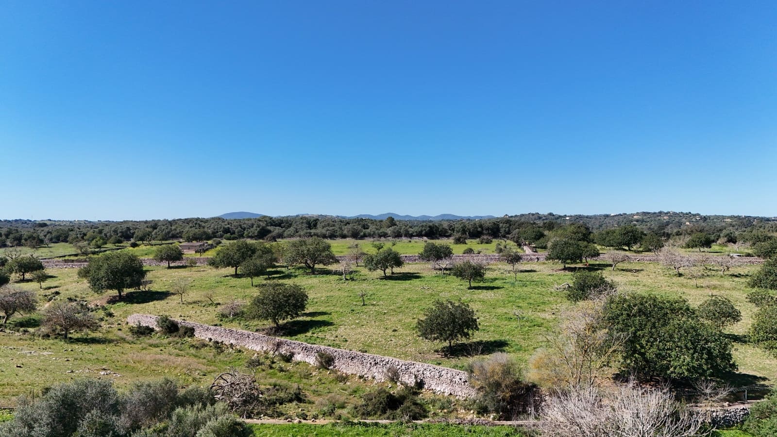 Grunde uden byggetilladelser til salg i Son Carrio - € 425.000 (Ref: 9566506)