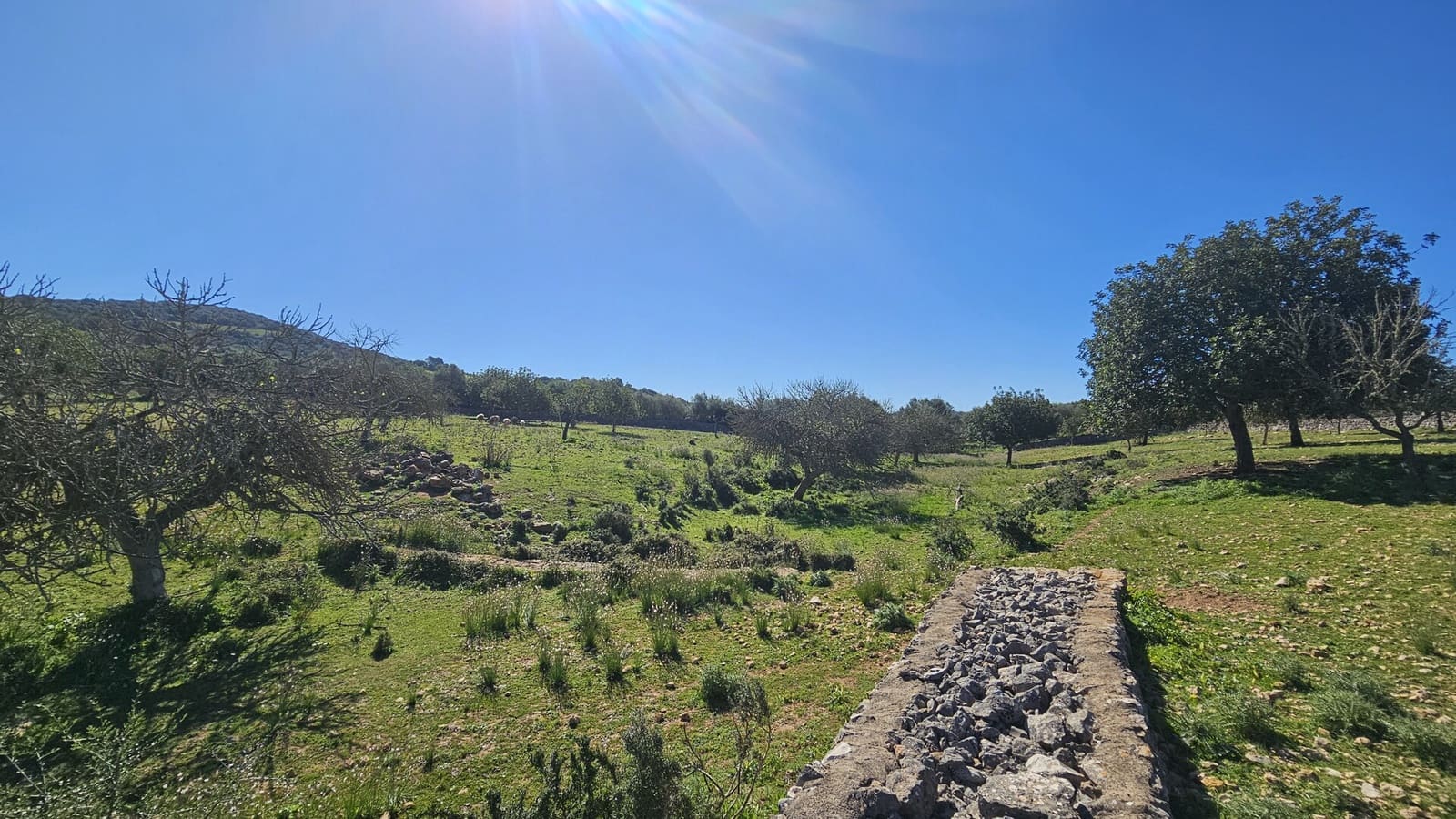 Grunde uden byggetilladelser til salg i Son Carrio - € 425.000 (Ref: 9566506)