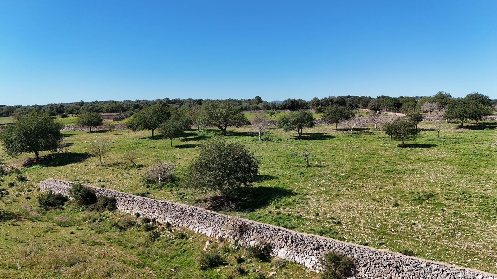 Grunde uden byggetilladelser til salg i Son Carrio - € 425.000 (Ref: 9566506)