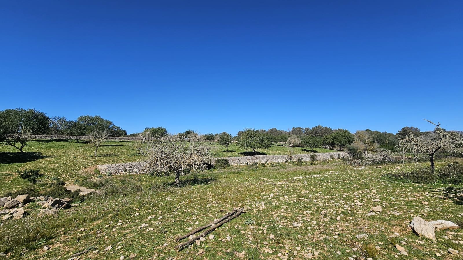 Grunde uden byggetilladelser til salg i Son Carrio - € 425.000 (Ref: 9566506)