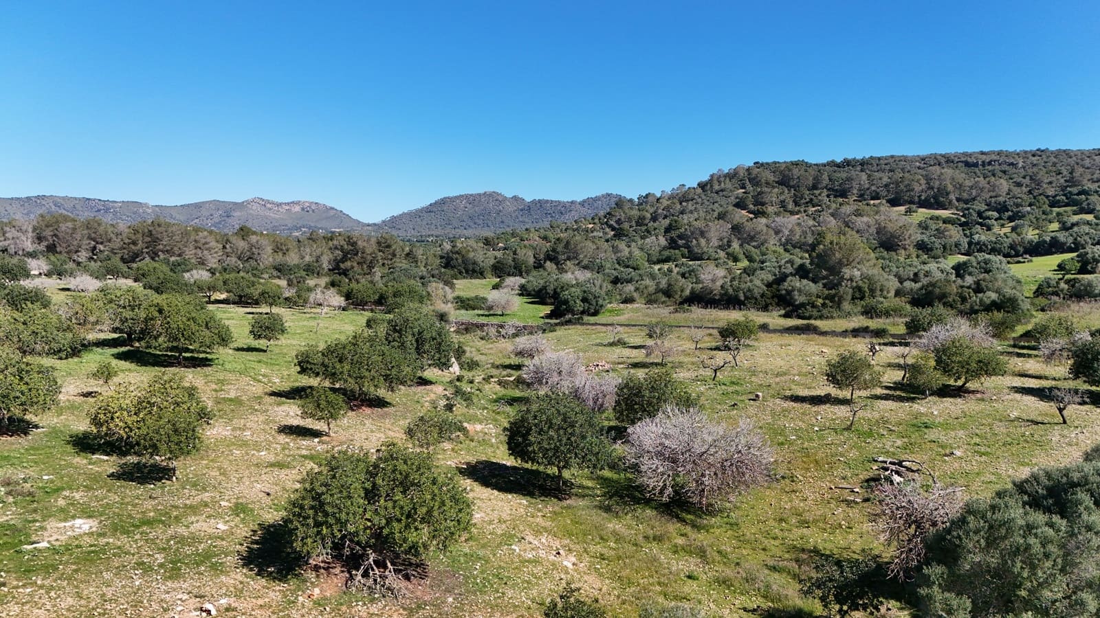 Grunde uden byggetilladelser til salg i Son Carrio - € 425.000 (Ref: 9566506)