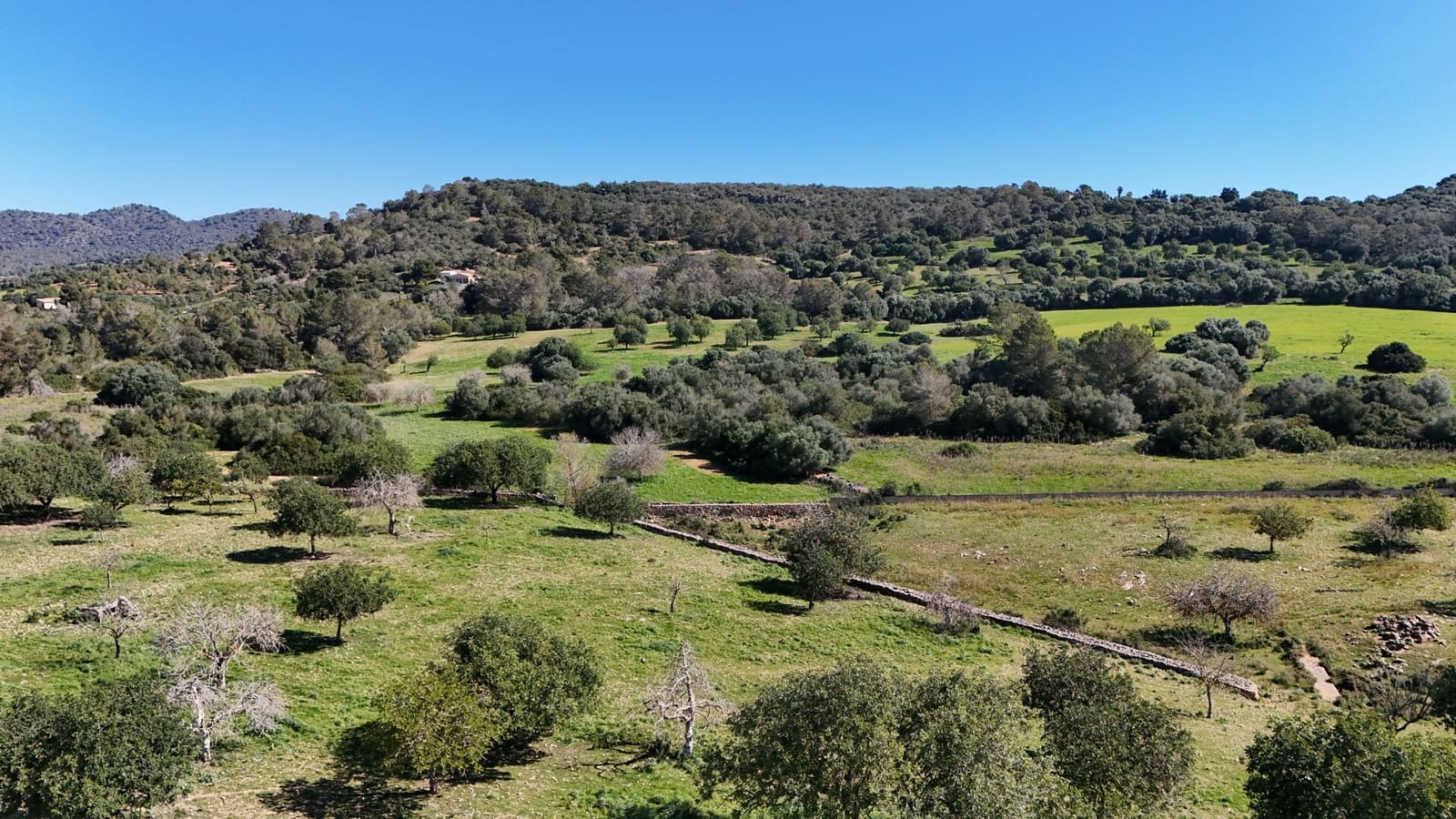 Grunde uden byggetilladelser til salg i Son Carrio - € 425.000 (Ref: 9566506)