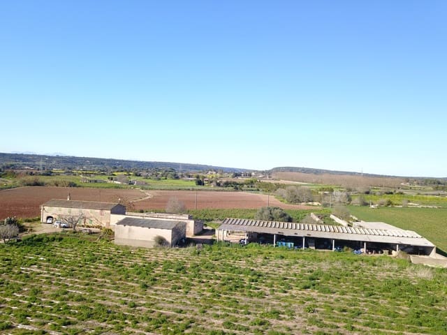 Quinta/Casa Rural para venda em Manacor - 600 000 € (Ref: 9654254)