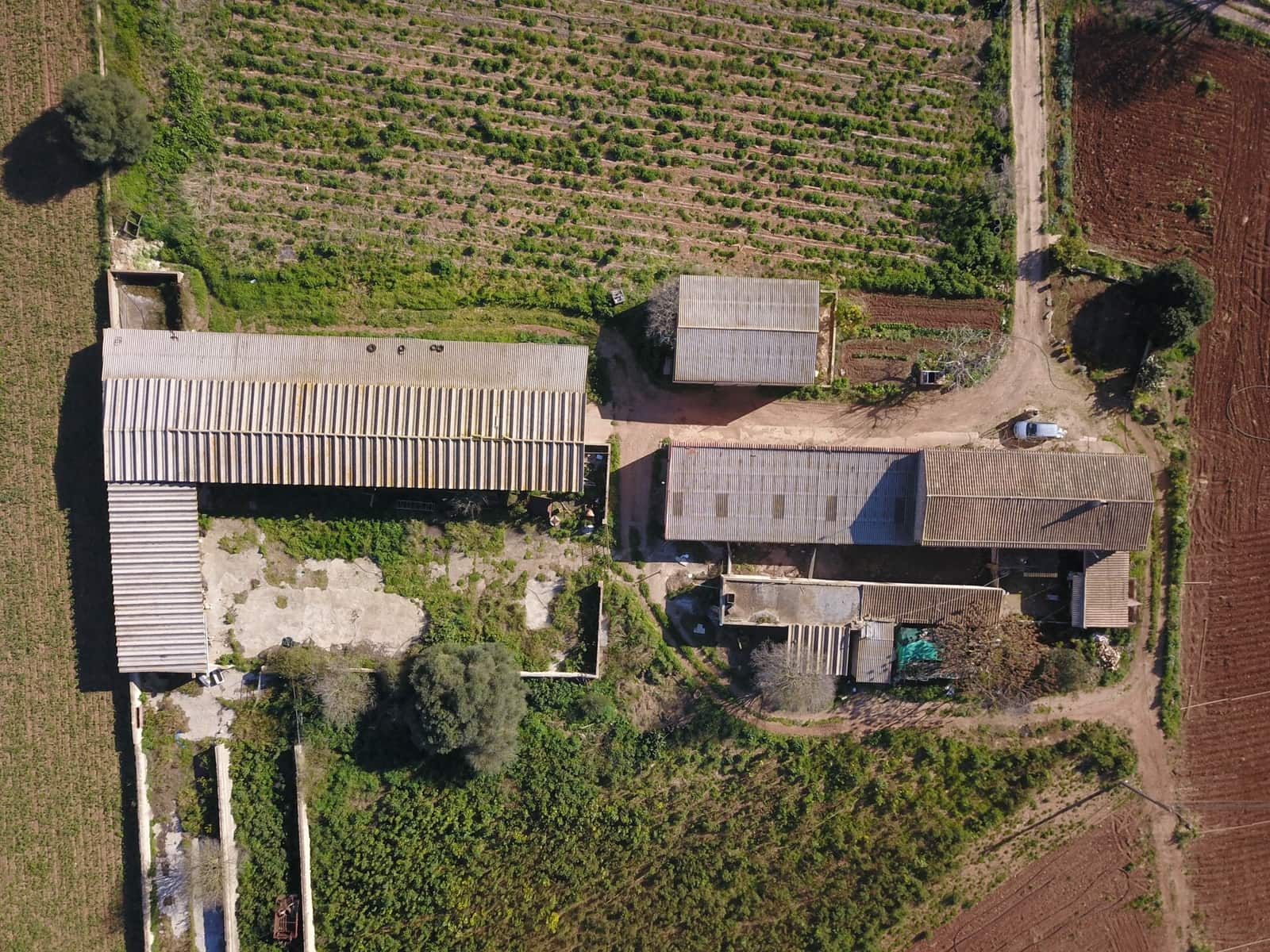 Quinta/Casa Rural para venda em Manacor - 600 000 € (Ref: 9654254)